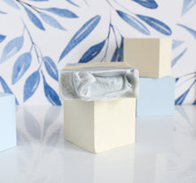 Load image into Gallery viewer, Laundry Line - Bar Soap